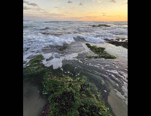 LAND FOR SALE IN MOQUINI COASTAL ESTATE